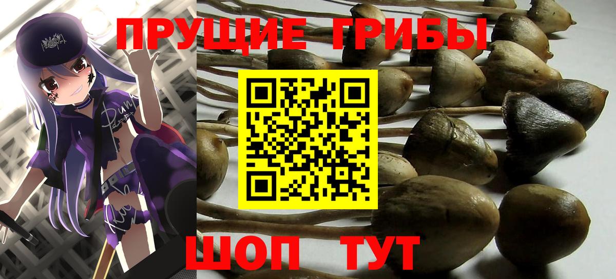 Туймазы  Галлюциногенные грибы Magic Shrooms  наркотики  Вход с VPN 