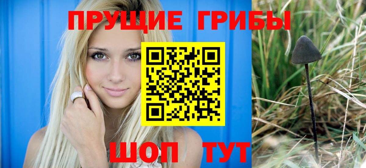 Псилоцибиновые грибы прущие грибы Туймазы